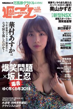 夜色撩人小说