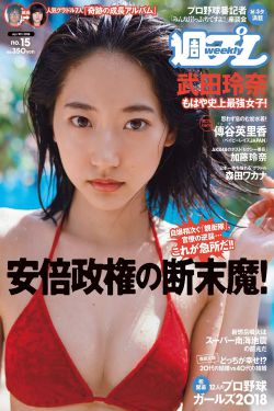 完美世界最新章节_完美世界全文